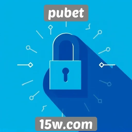 Pubet e sua política de privacidade dos usuários